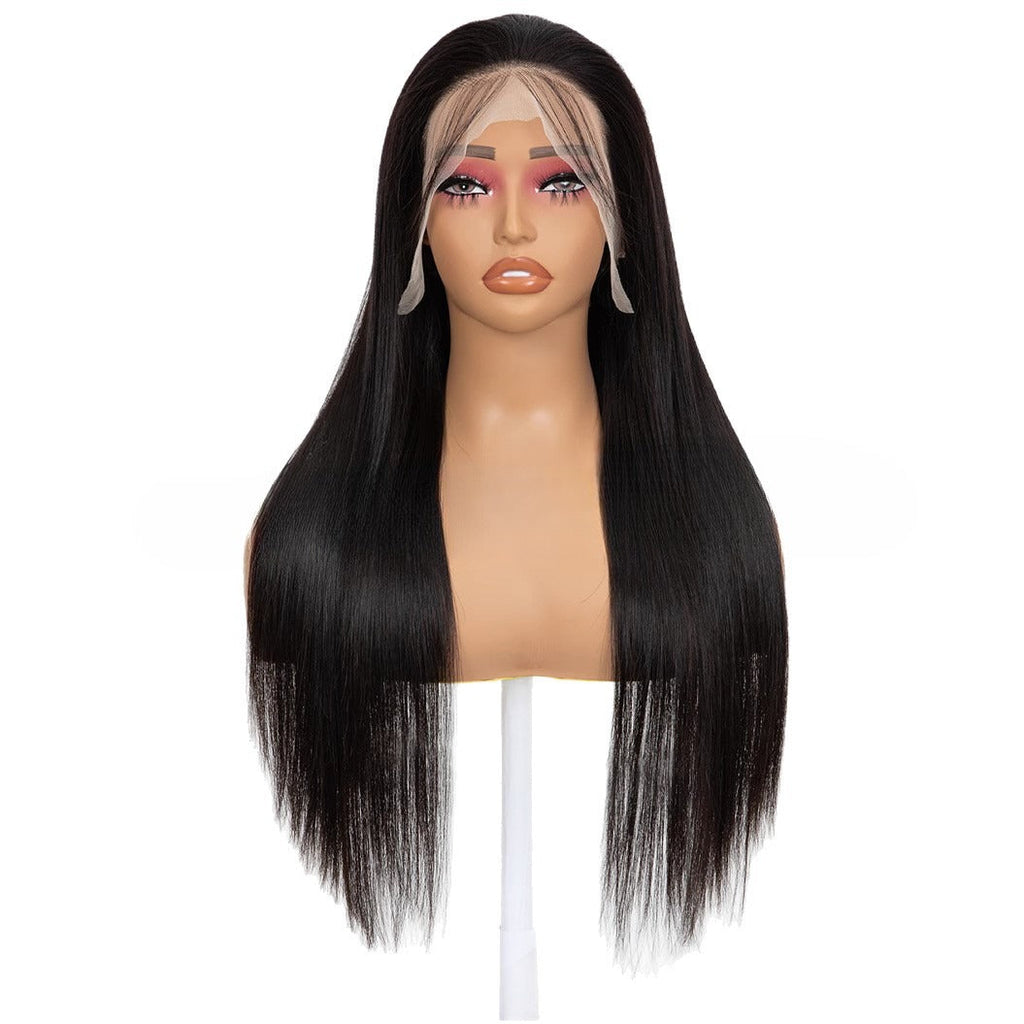 Lace Front Full Head Wigs Double Weft Long Straight Synthetic Hair Extensions